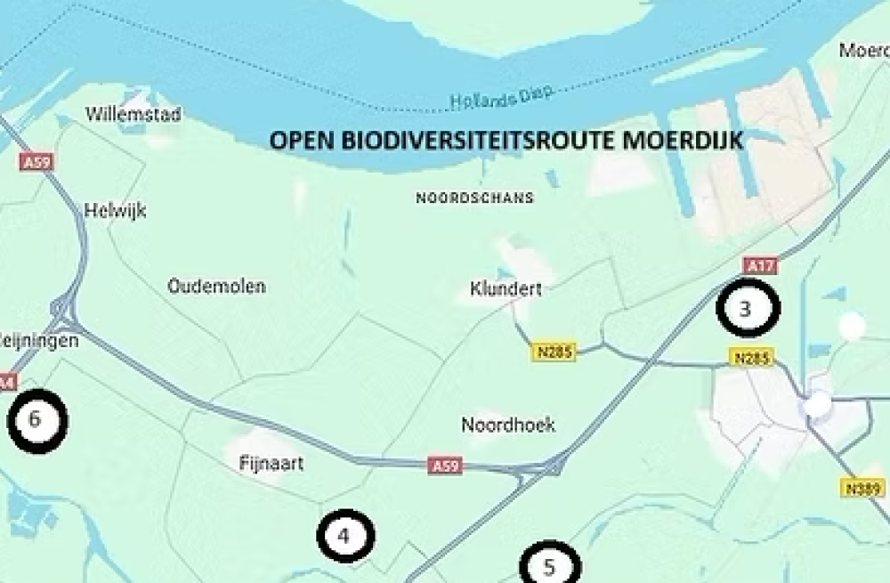 Open Biodiversiteitsroute Moerdijk zaterdag 17 mei 2025, 10:30-16:00