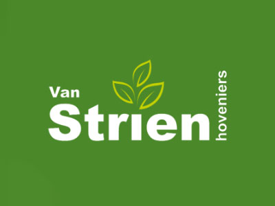 Van Strien