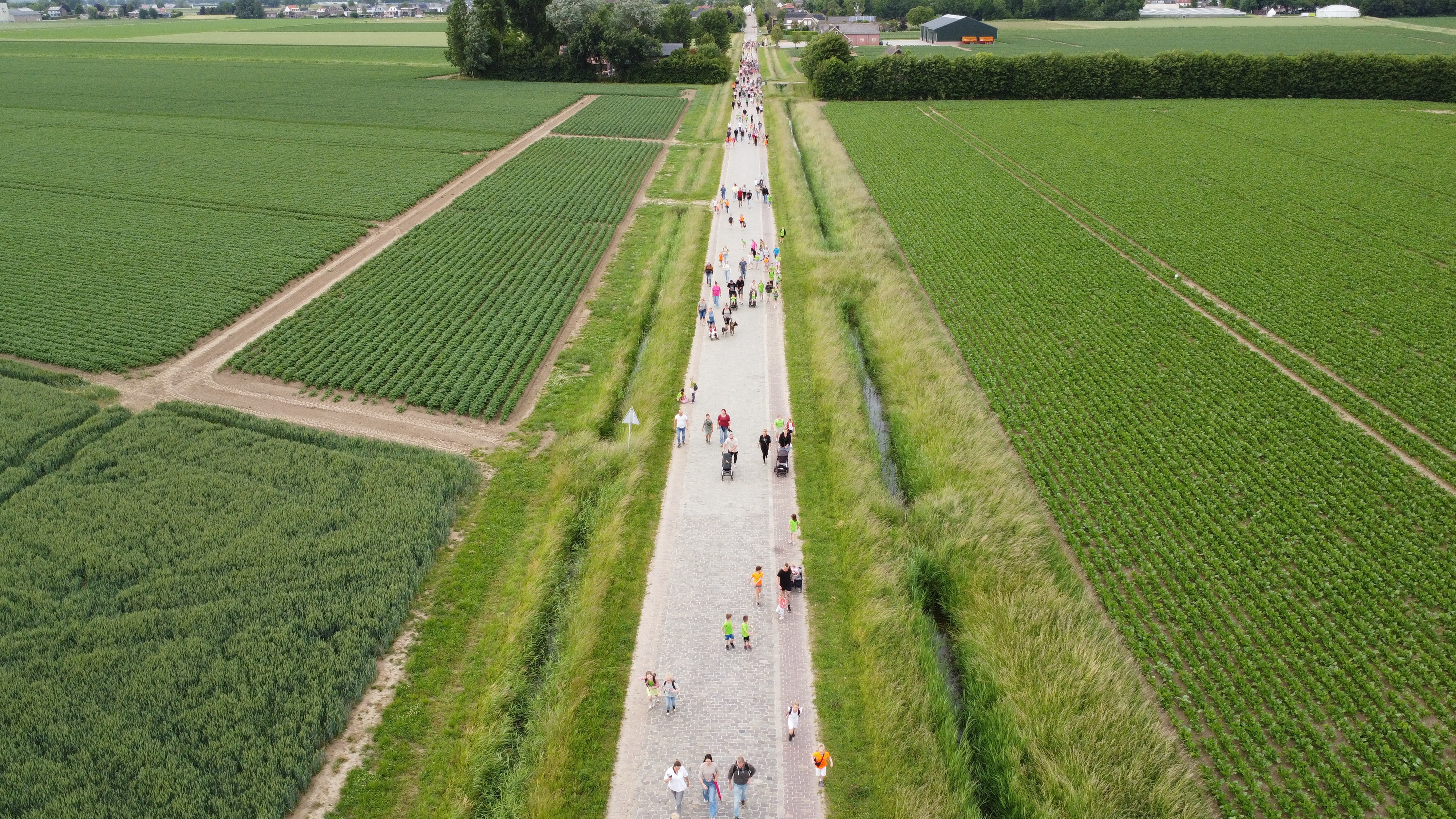 Avond4daagse 2025 overtreft verwachtingen: weer een daverend succes!