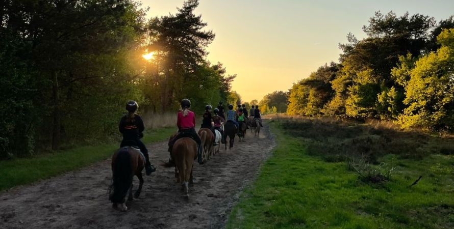 Ponykamp Avontuur: Oranje Ruiters en Rodeo Ruiters Beleven Western Thema in Riel