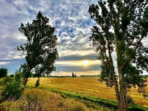 Langs de Oudemolensedijk / Jan Gorter