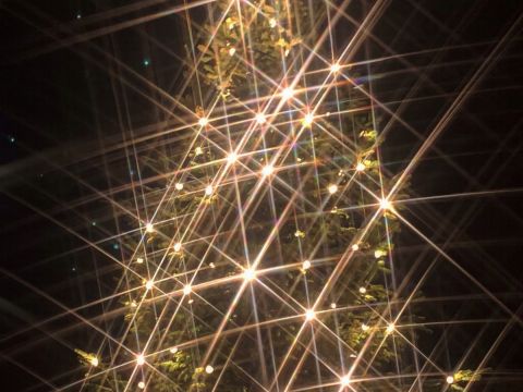 Schitterende Fendertse kerstboom / Jan Gorter