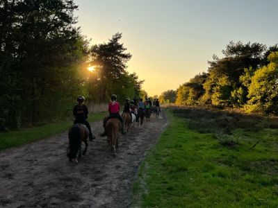 Ponykamp Avontuur: Oranje Ruiters en Rodeo Ruiters Beleven Western Thema in Riel