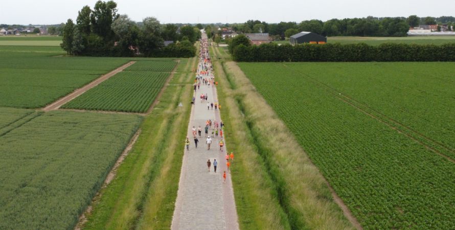 Fijnaartse Avondvierdaagse