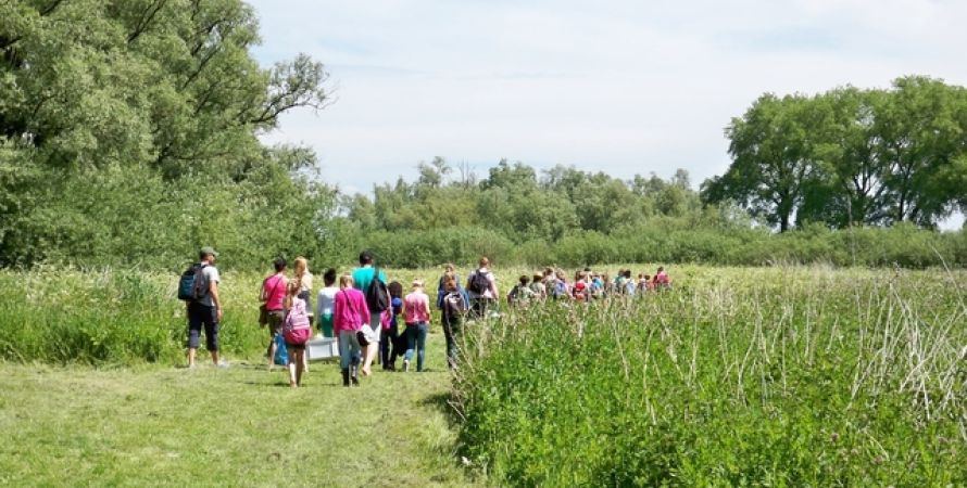 Nieuwe schoolgidsen voor de Biesbosch gezocht!  