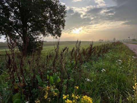 Zonsopkomst / Jan Gorter