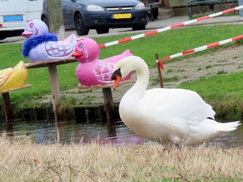 Vier op een rij / Els Leijten Helmons