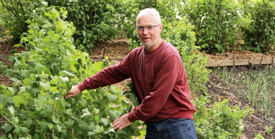 De moestuin van Kees Deijkers
