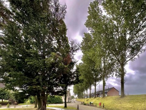 Kadedijk / Jan Gorter