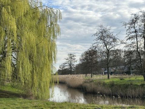 Ook dit is Fijnaart  / Jan Gorter