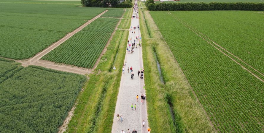 Avond4daagse 2025 overtreft verwachtingen: weer een daverend succes!