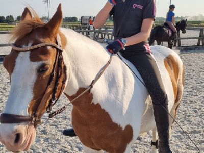 Fendertinterview Fileine Bom