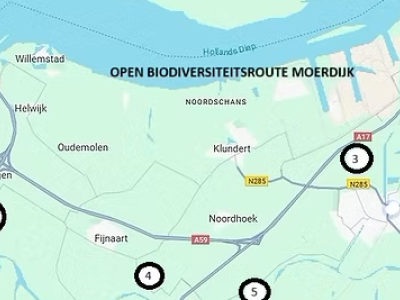 Open Biodiversiteitsroute Moerdijk zaterdag 17 mei 2025, 10:30-16:00