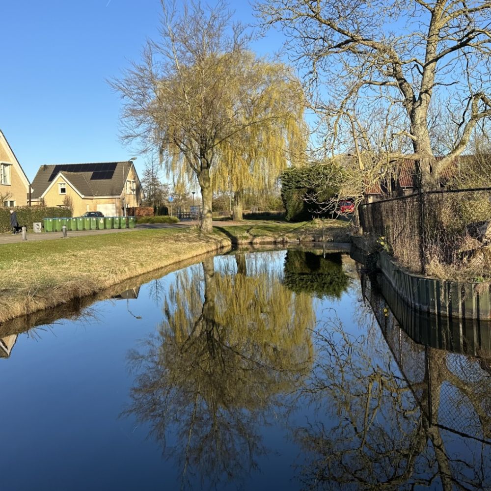 Reflecties aan de Beukenlaan / Jan Gorter