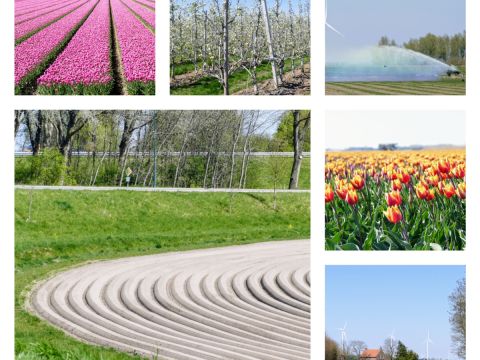 Lente in en rond Fijnaart/Ron Akkerman