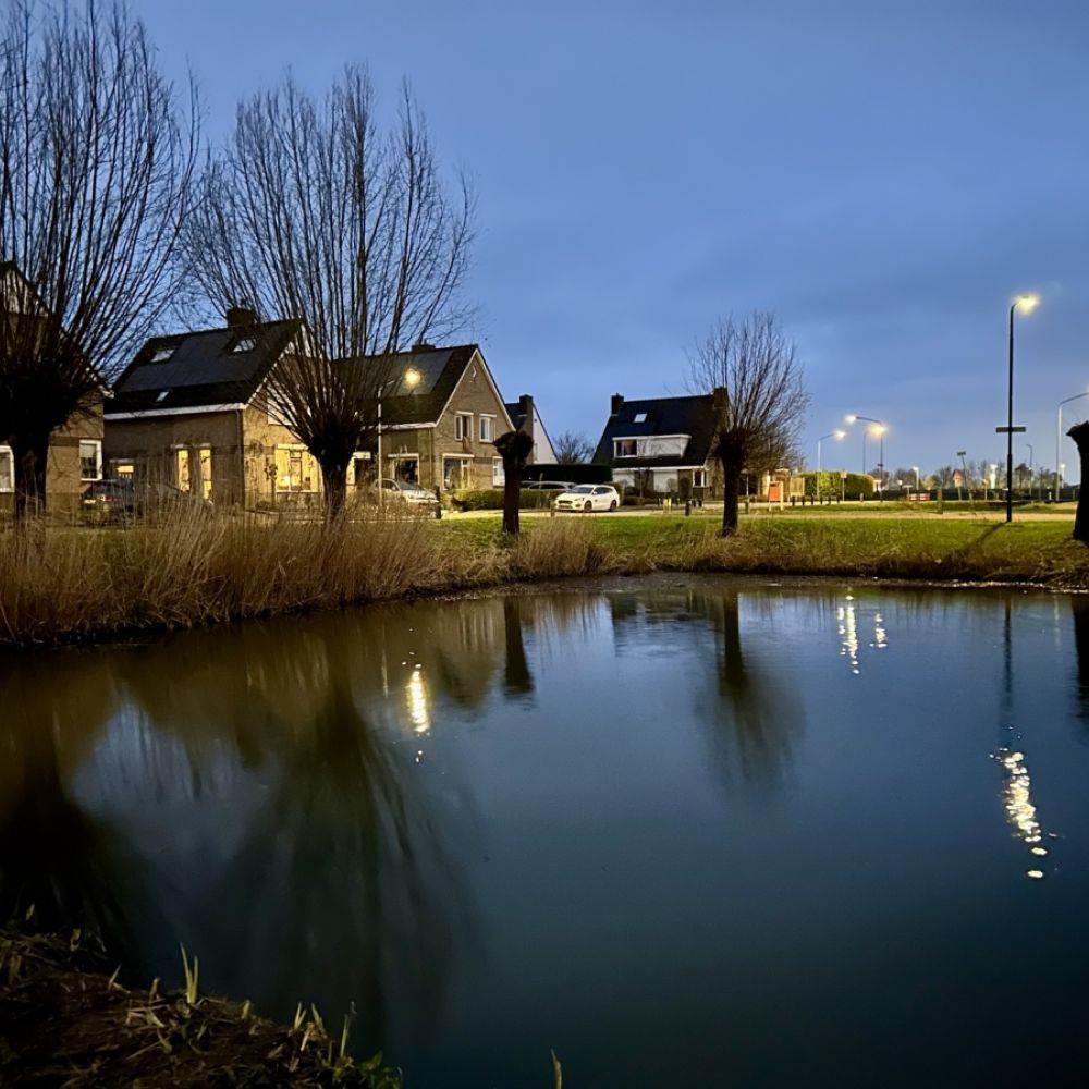 Gezicht op Leeuwerikstraat / Jan Gorter