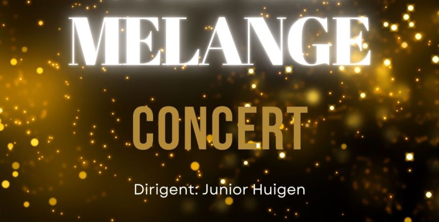 Wiener Melange in Zevenbergen: traditie met Regio Orkest West-Brabant