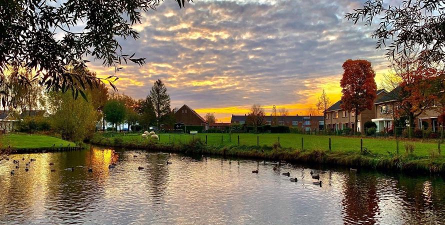 Fijnaart in beeld en geluid gevangen