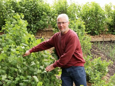 De moestuin van Kees Deijkers