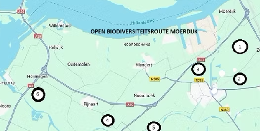 Open Biodiversiteitsroute Moerdijk zaterdag 17 mei 2025, 10:30-16:00