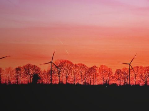 "En dan denk ik aan Brabant, want daar schijnt de zon. Zonsondergang in Fijnaart, foto gemaakt op de Appelaarseweg