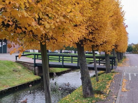 Herfst in Fijnaart