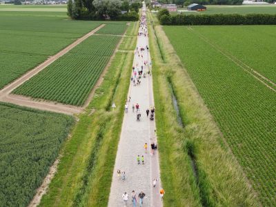 Avond4daagse 2025 overtreft verwachtingen: weer een daverend succes!