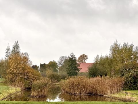 Herfst in de Westkreek / Jan Gorter