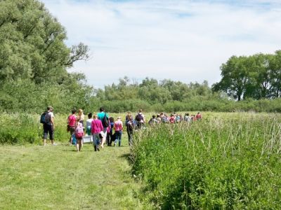 Nieuwe schoolgidsen voor de Biesbosch gezocht!  