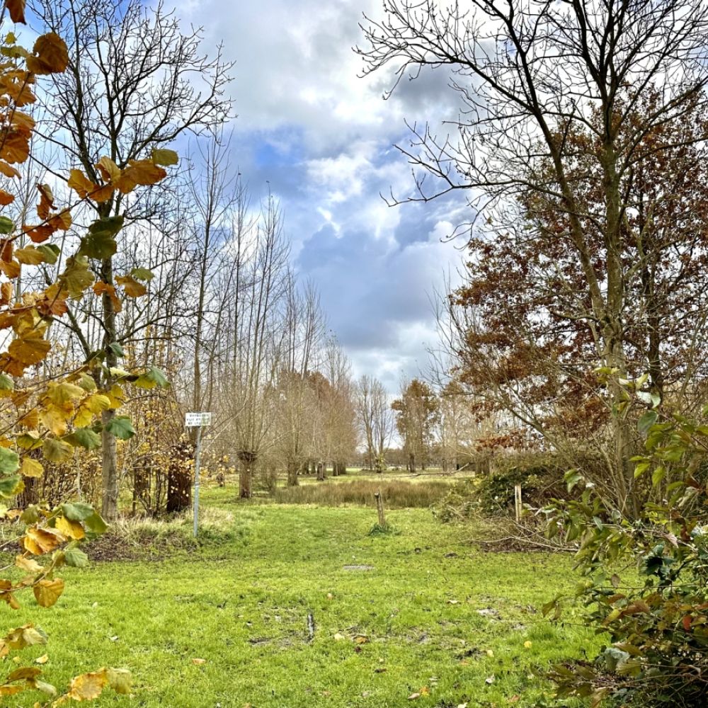 Schilderachtig  Fenderts Bos / Jan Gorter