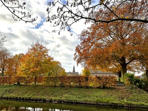 Herfst in Fijnaart / Jan Gorter