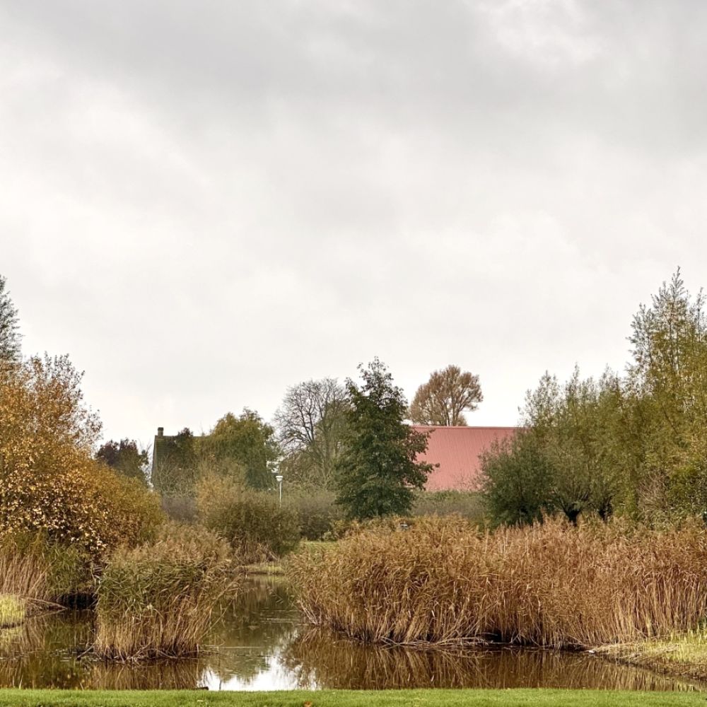 Herfst in de Westkreek / Jan Gorter