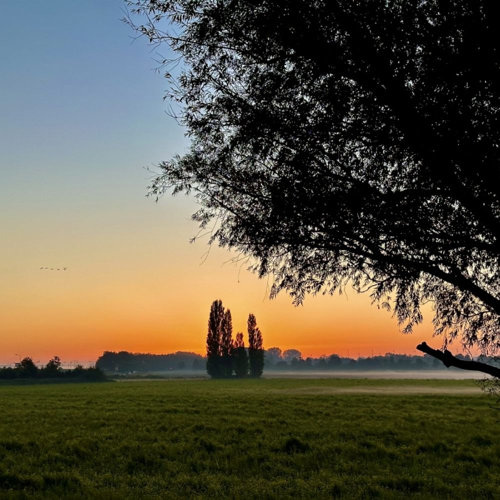 Zonsopkomst / Jan Gorter